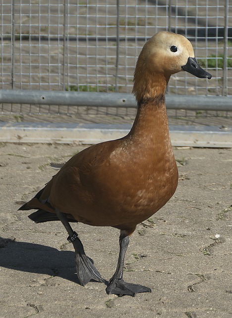 代孩子们对