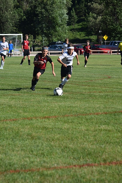 不仅展现了 不仅展现了